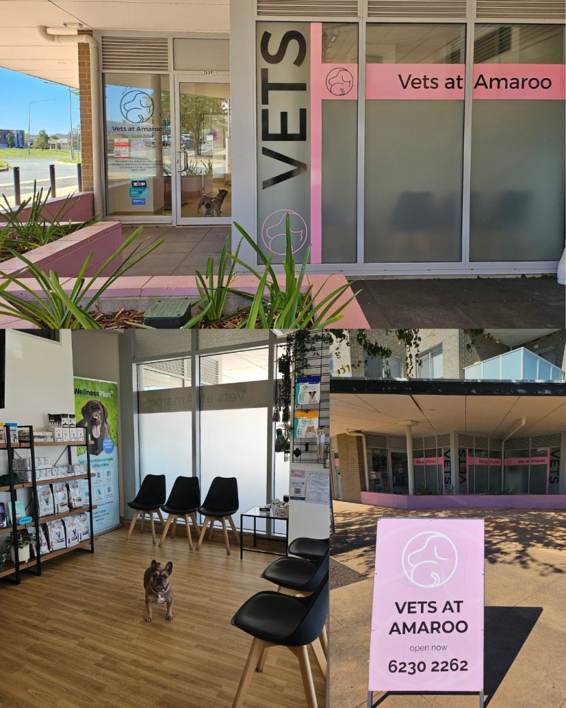 You’re Invited: Vets at Amaroo Open Day!