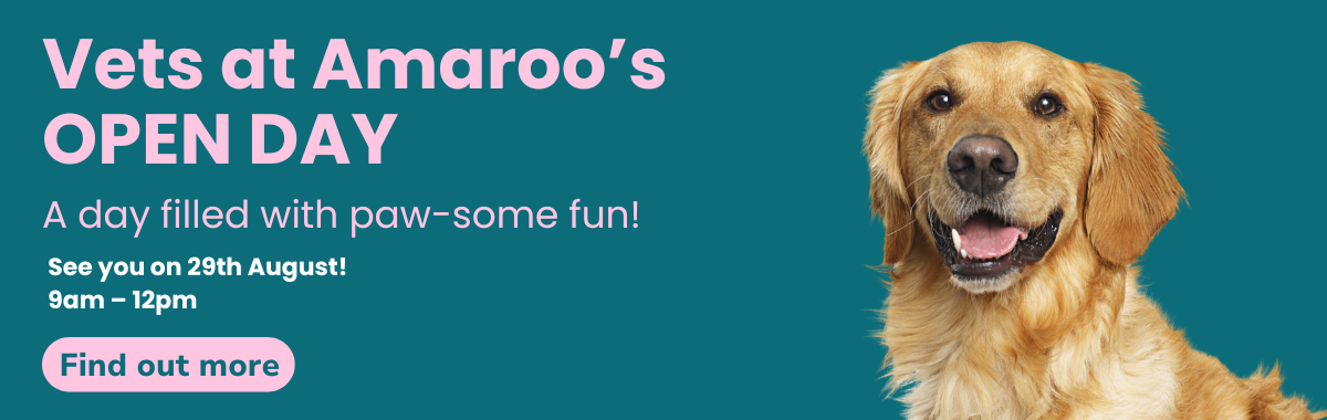 Vets at Amaroo Open Day - Saturday 29 August, 9am to 12pm
